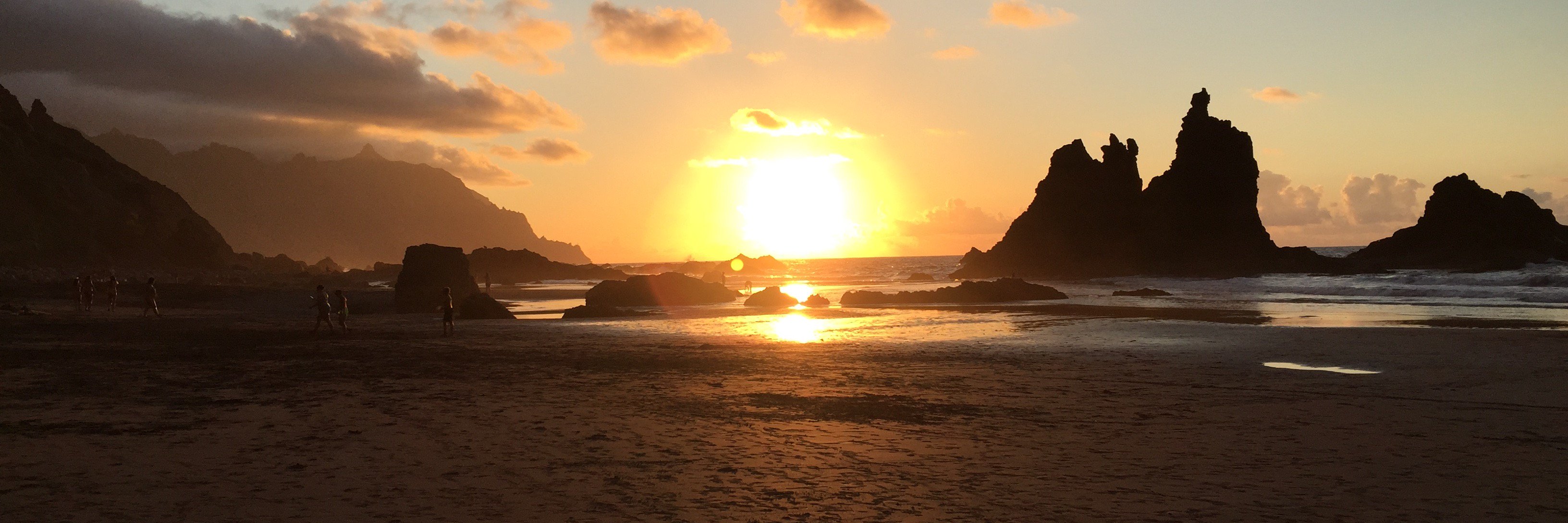mindfulnesscan's profile banner image