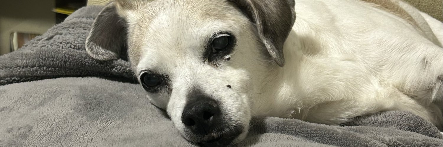 szqb's profile banner image