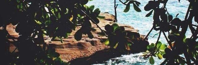 Cecilebr_'s profile banner image