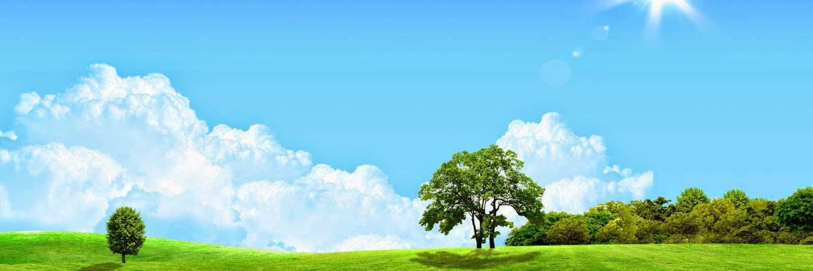 adsysvn's profile banner image