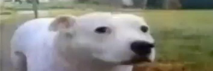 Raulhdz44's profile banner image