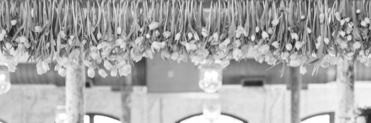 izzymendelson's profile banner image