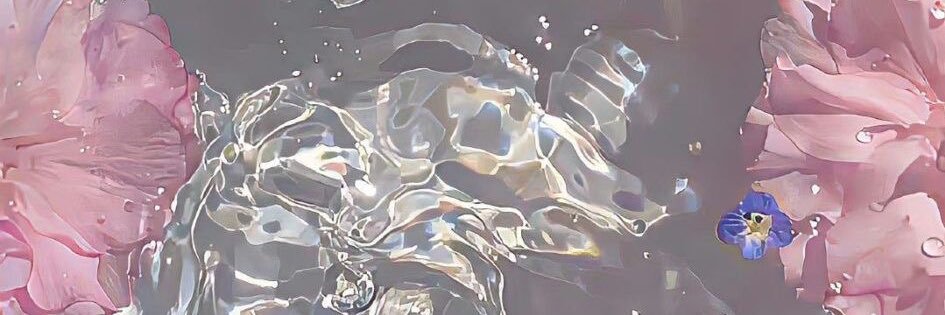 𝙥𝙬𝙥𝙟 ༘⋆✿ banner