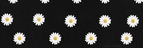 DaisyBRelf's profile banner image