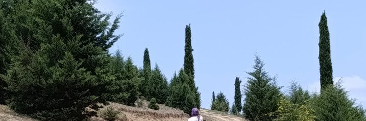 Peyman Yazdani's banner