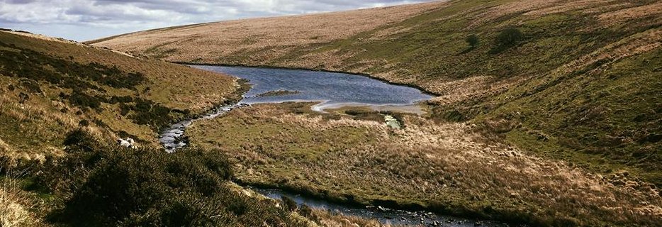 Devonia Water banner