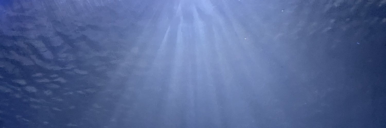 annierinsky's profile banner image