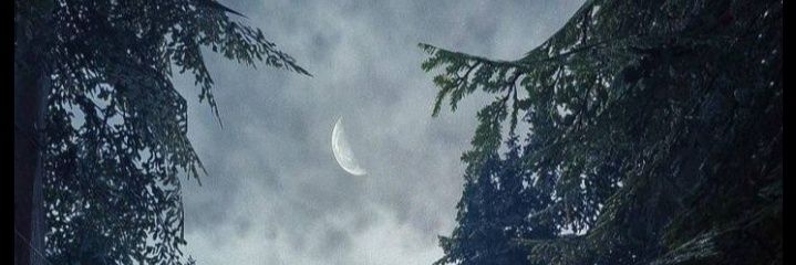 jessicaleroy2's profile banner image