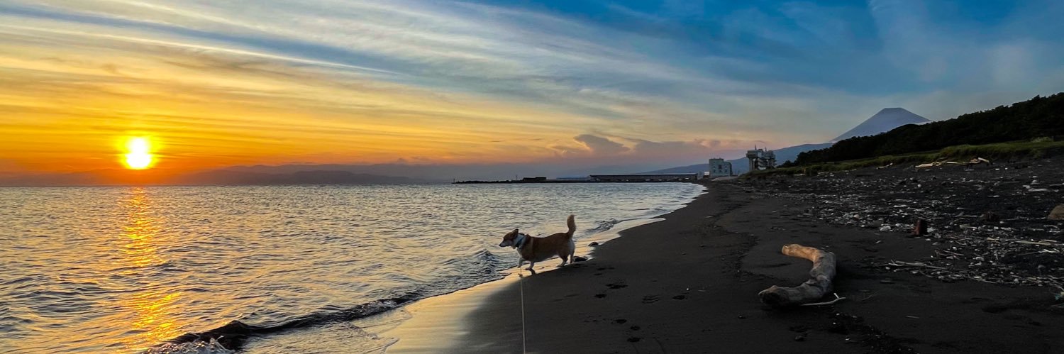 でふ (((((((((っ･▲･)っ🍫 banner