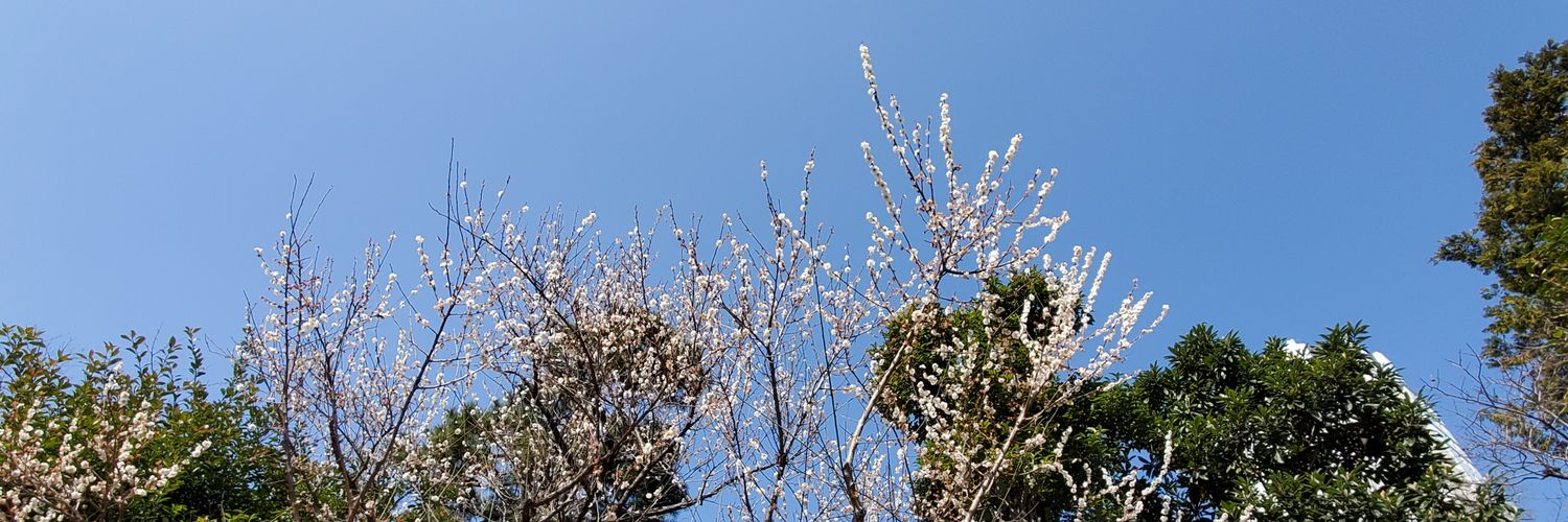 Namitaka's profile banner image