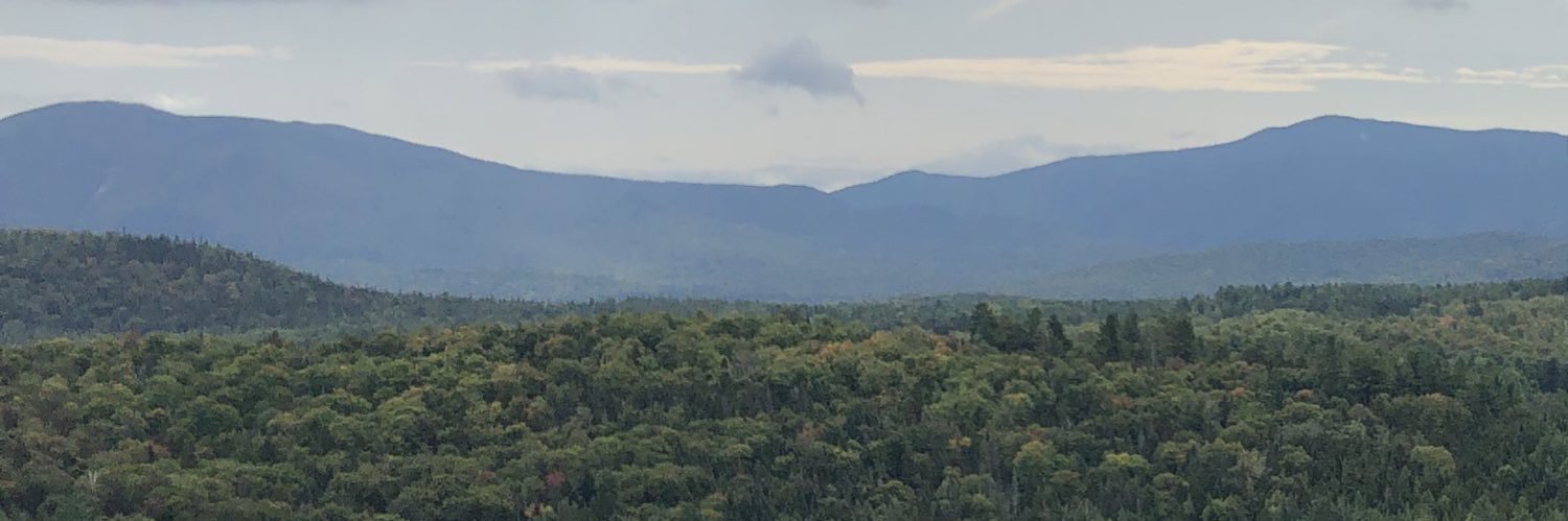 mlichak394's profile banner image
