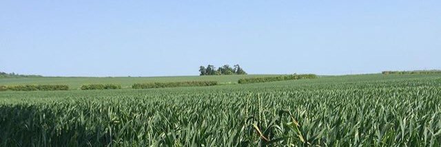 TheTreeStapleford banner