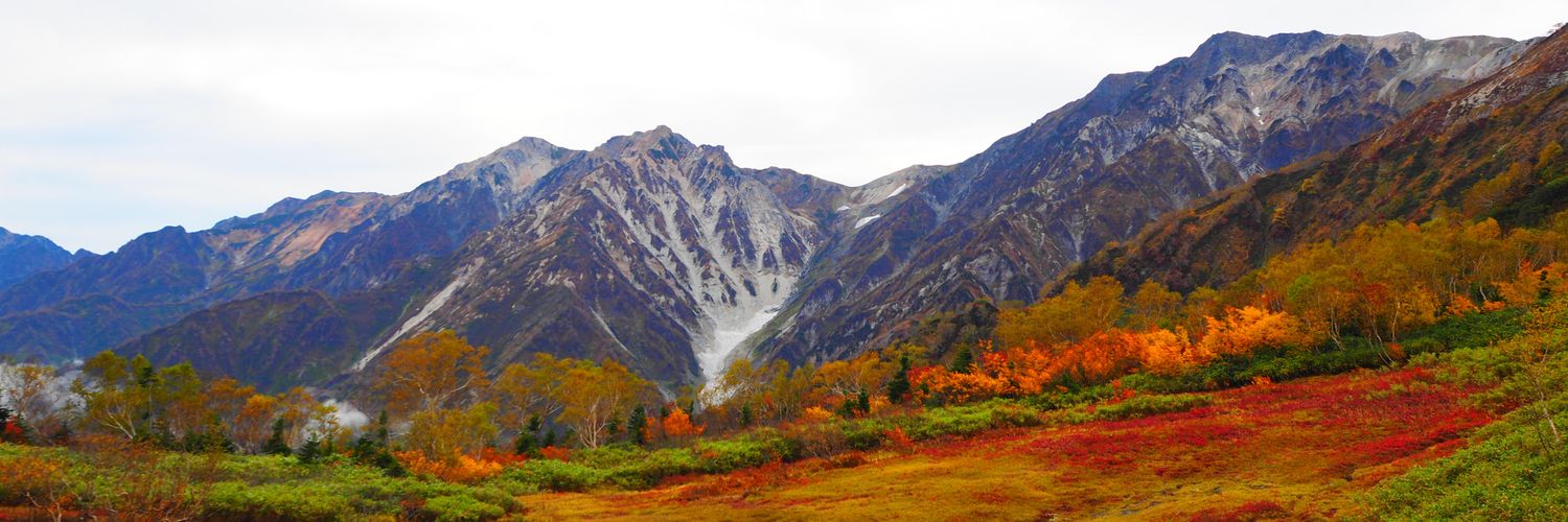 ぶっちー 作業療法士 banner
