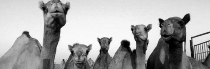 i_Remoky's profile banner image