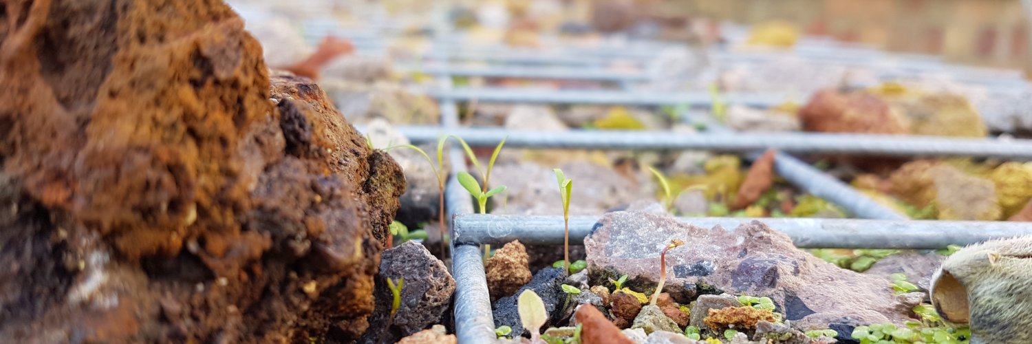 Steve Williams banner