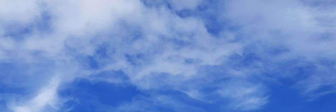 ShebaSarah's profile banner image