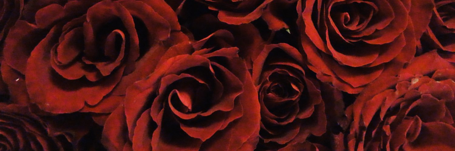 nesliyannca's profile banner image