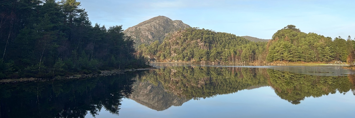 Linda Johnson banner