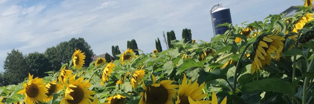 VictoriaWorth1's profile banner image