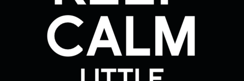 abear4skins banner
