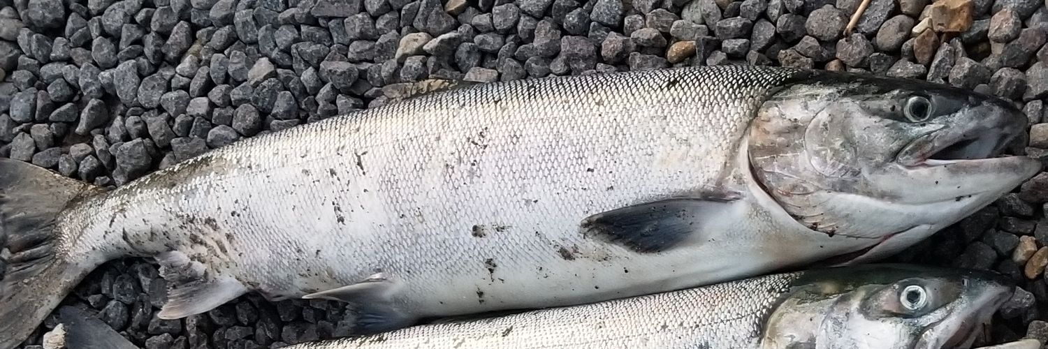 takufishing73's profile banner image