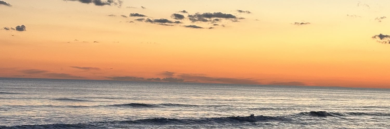 mollyvodden's profile banner image