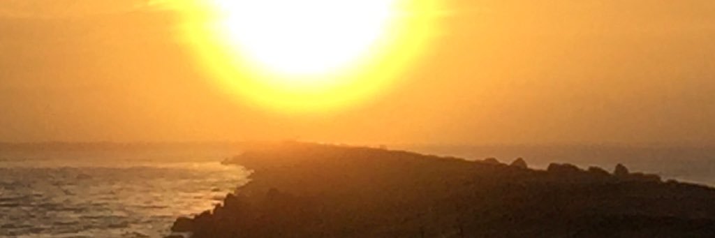 Trayk223's profile banner image