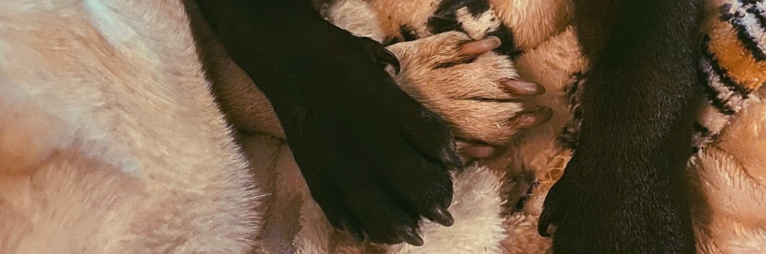 melyrdzc's profile banner image
