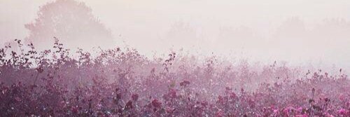 allisrobsten's profile banner image