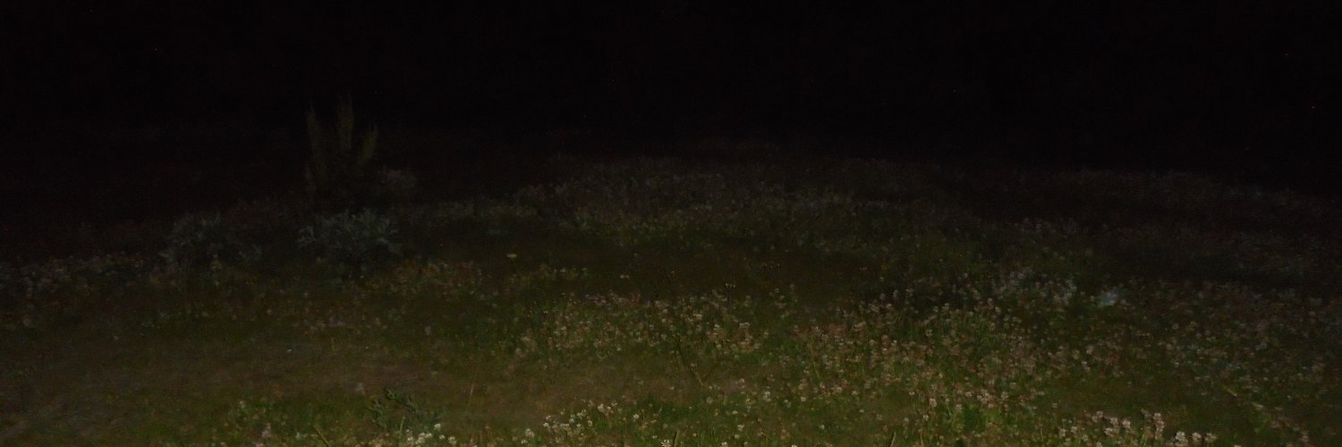 SickHumanBeing's profile banner image