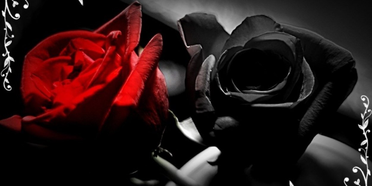 Rebecca Everon Vader banner