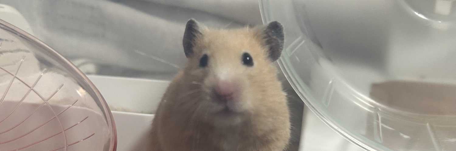 まぐまぐ☺︎1m🦕 banner