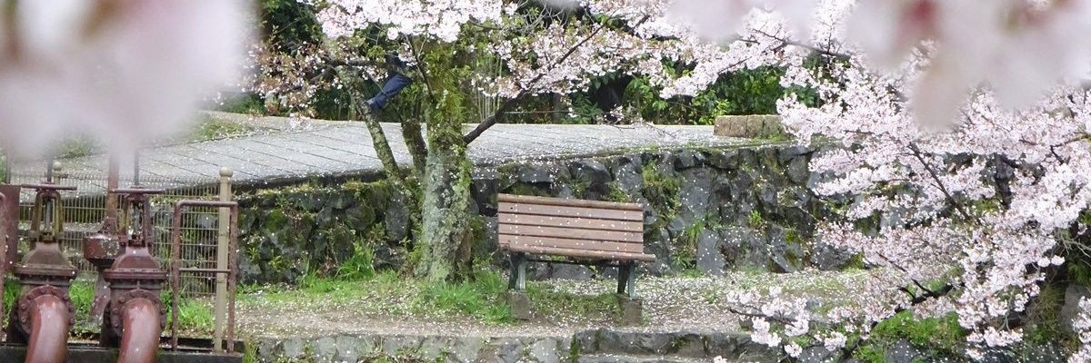matts_dhx's profile banner image