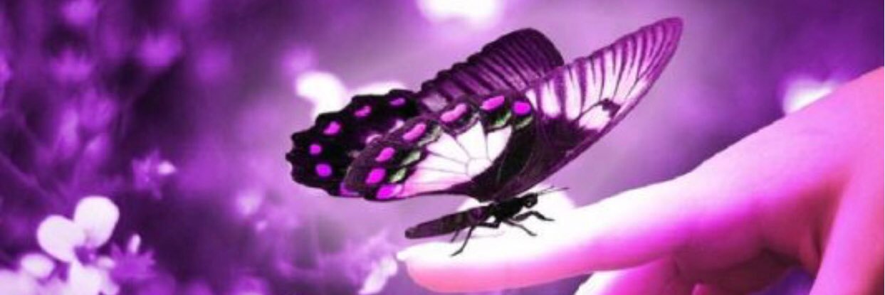 the_BESS1's profile banner image