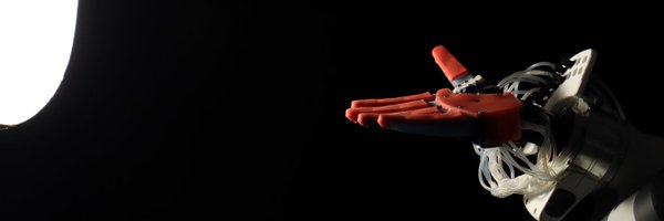 rbolab Profile Banner