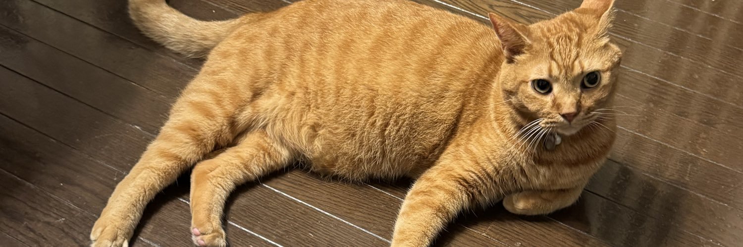 gingergumball's profile banner image
