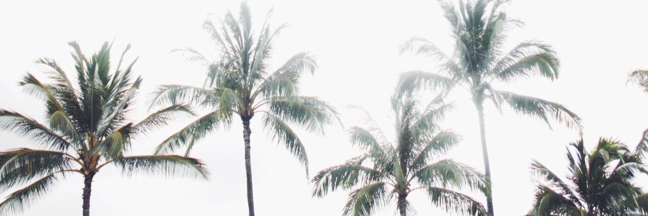 BryanDaino's profile banner image
