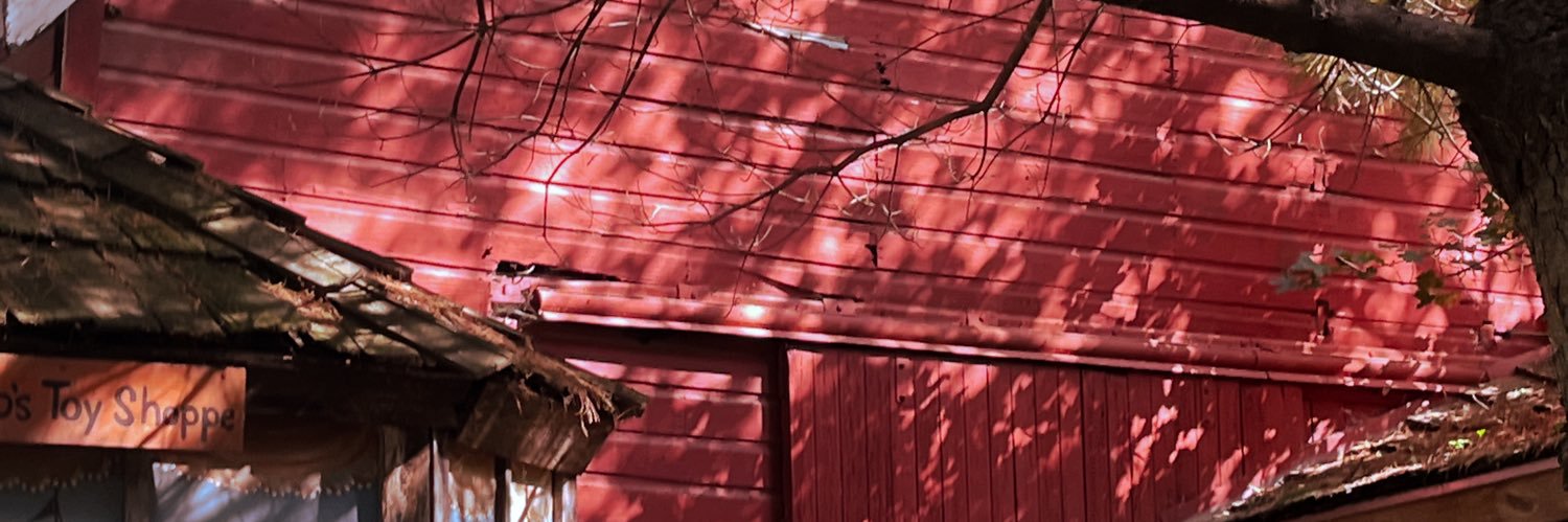 nala ✴️💞 banner