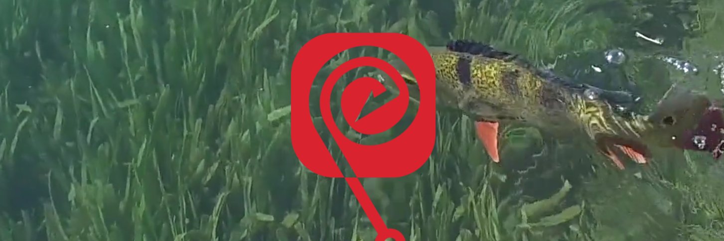 Pro Edge Fishing banner