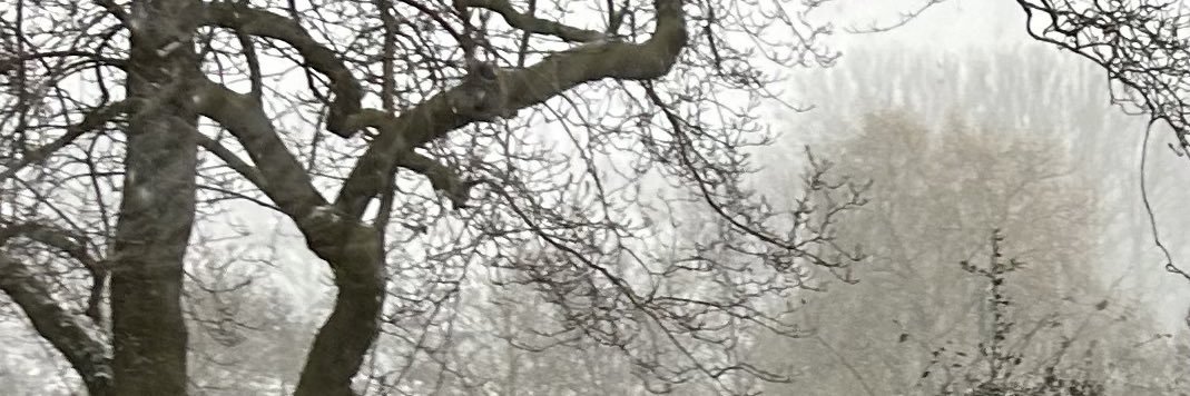 Marie Van Nieuw banner