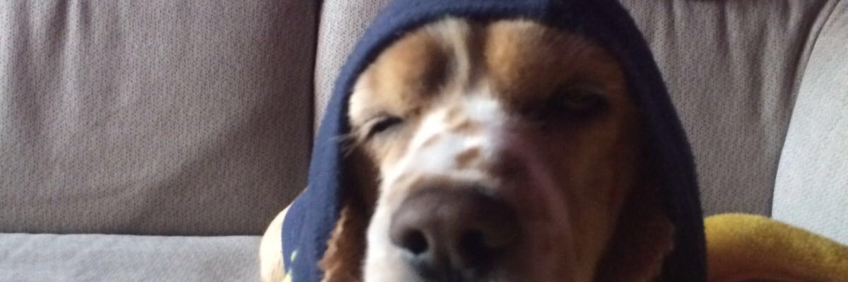 memoraya's profile banner image