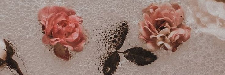 Alii✨ banner