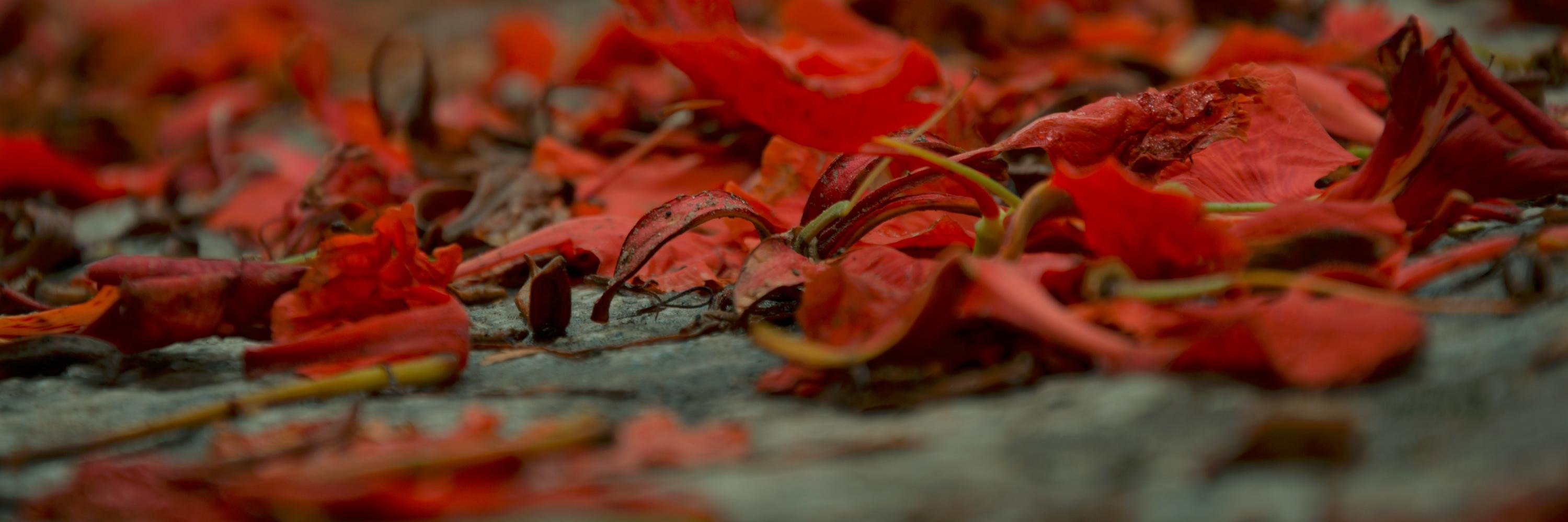 Weird_angle's profile banner image