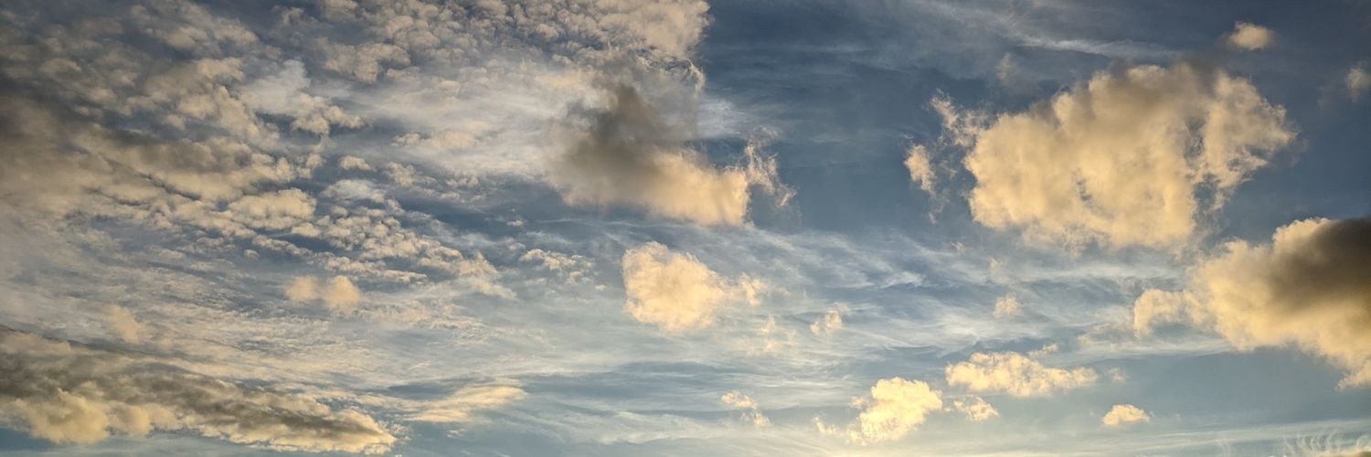5ani92's profile banner image