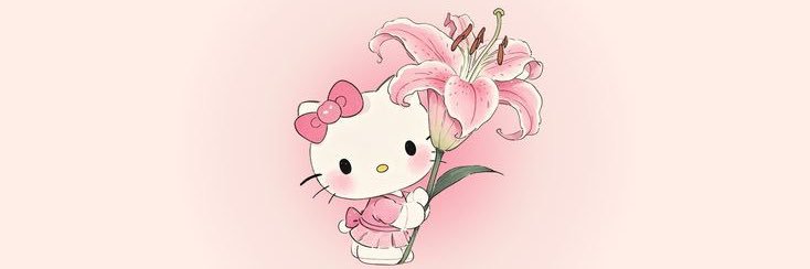 conielysha's profile banner image