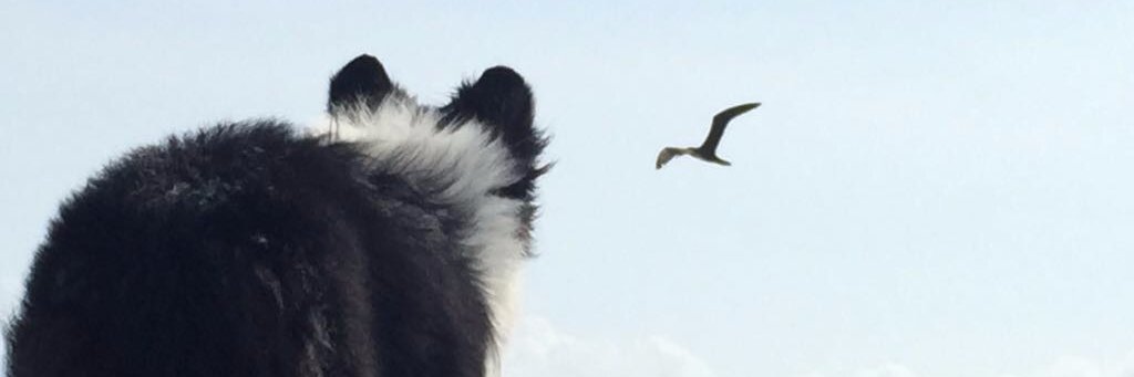 _gomezcris's profile banner image