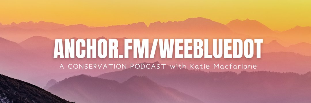 Katie Macfarlane banner