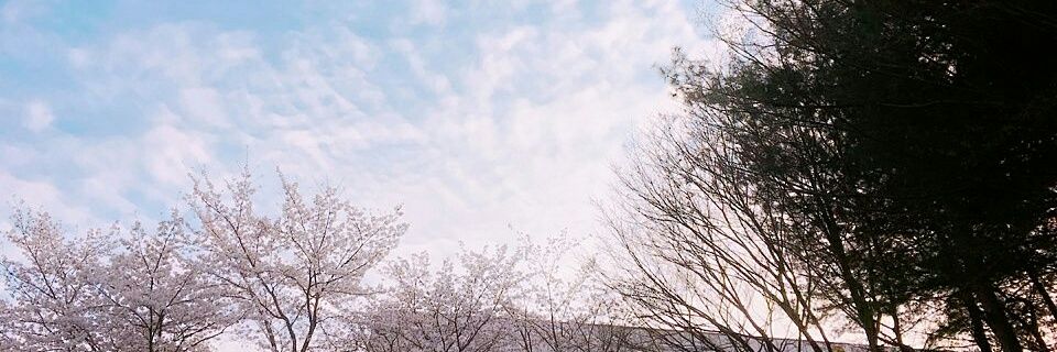 nara0621's profile banner image