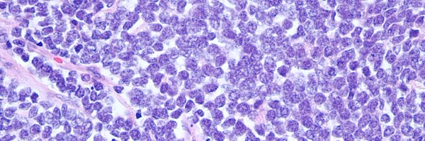 sohn_aaron Profile Banner