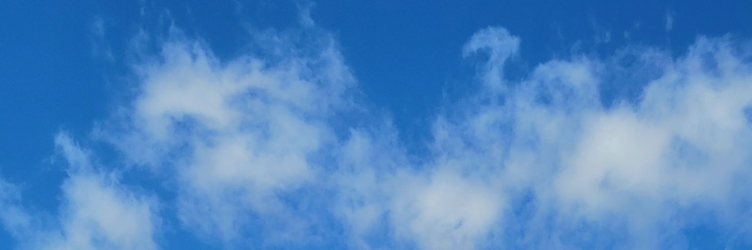 malachytarpey's profile banner image